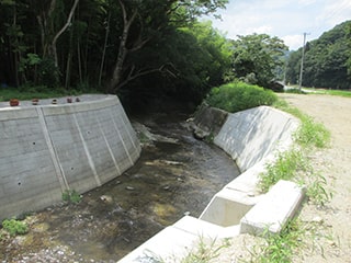 擁壁 Choi-Nose